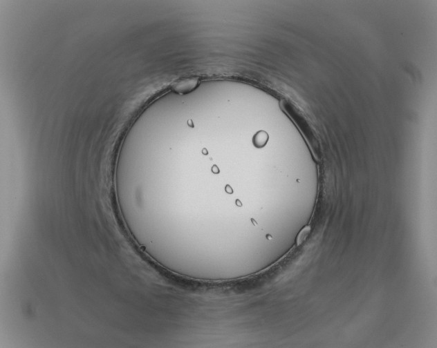 X0000113870673200910081727