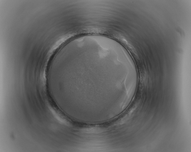 X0000113870674200910081727