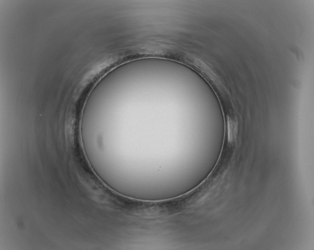 X0000113870675200910081727