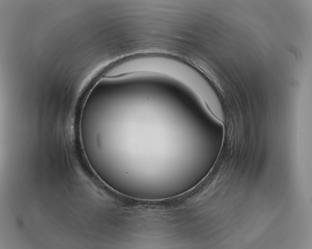 X0000113870676200910081727