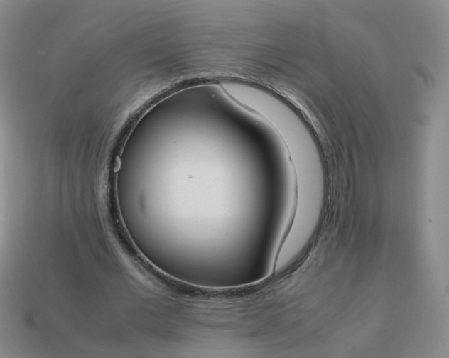 X0000113870677200910081727