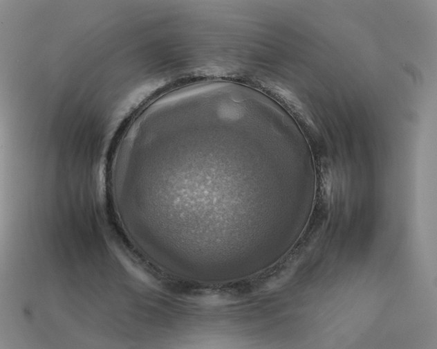 X0000113870678200910081727