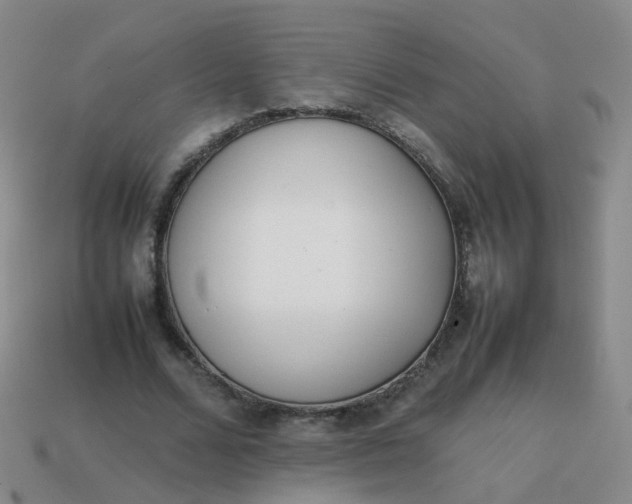 X0000113870680200910081727