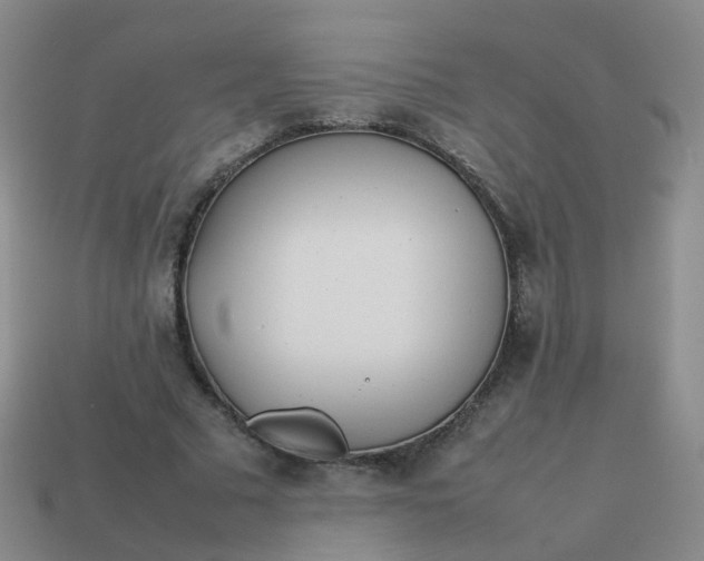 X0000113870681200910081727