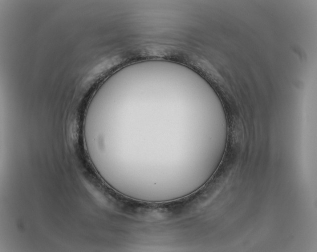 X0000113870683200910081727