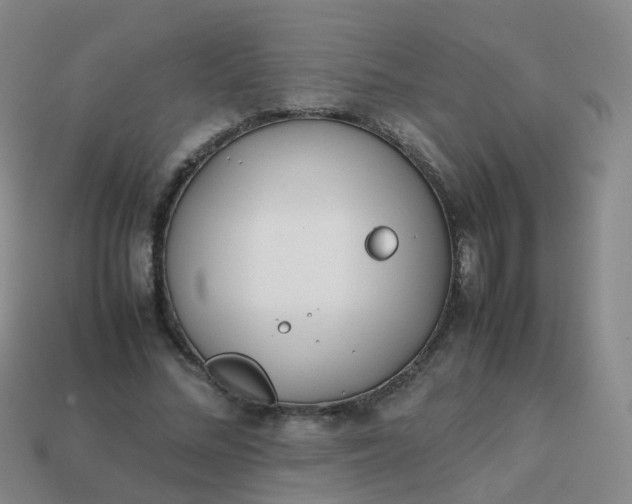 X0000113870684200910081727