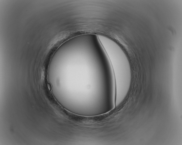 X0000113870685200910081727