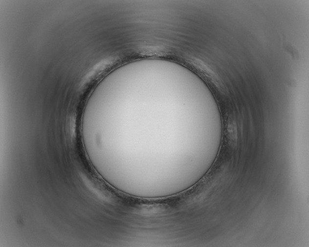 X0000113870686200910081727