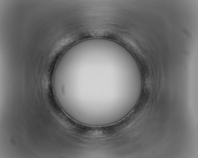 X0000113870687200910081727