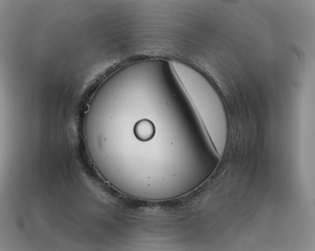 X0000113870688200910081727