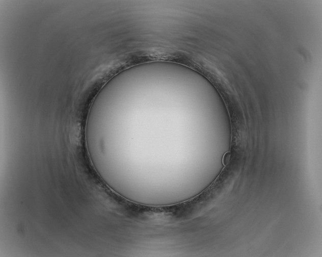 X0000113870689200910081727