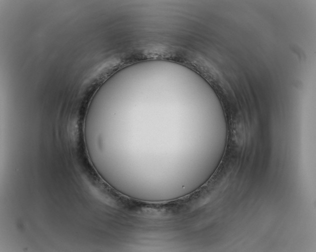 X0000113870690200910081727