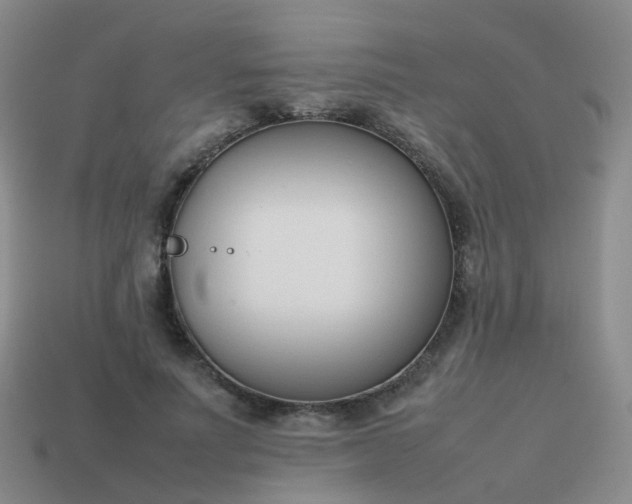 X0000113870691200910081727