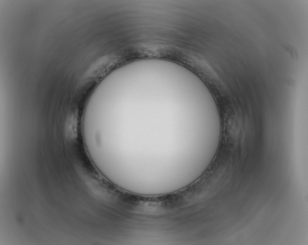 X0000113870694200910081727