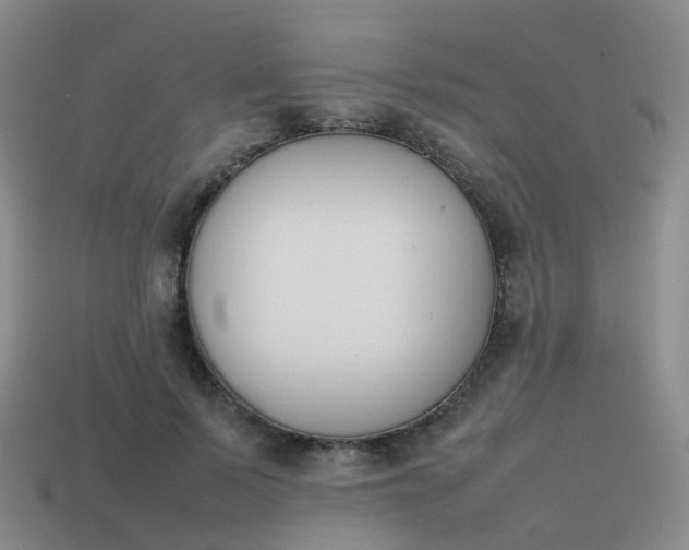 X0000113870695200910081727