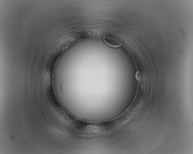 X0000113870699200910081727