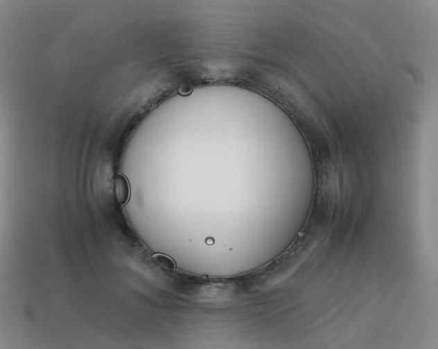 X0000113870700200910081727