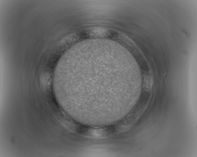 X0000113870701200910081727