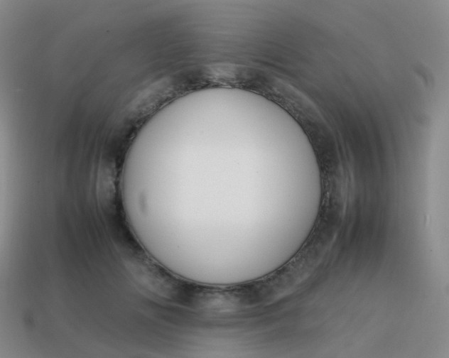 X0000113870702200910081727