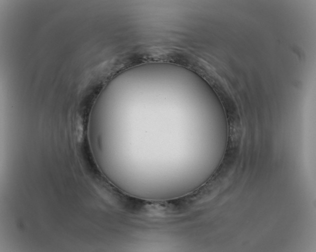 X0000113870703200910081727