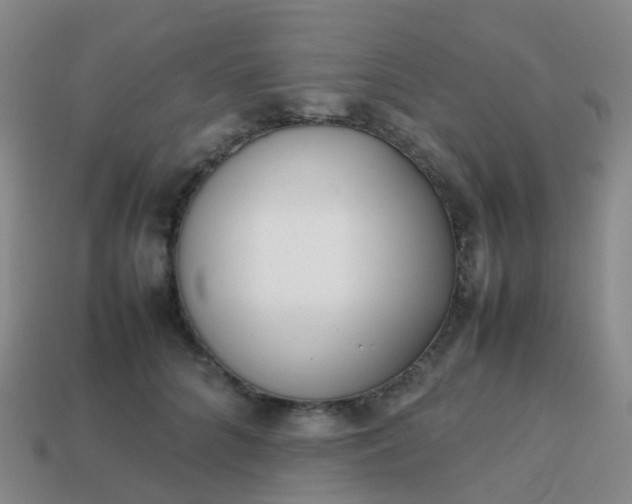 X0000113870704200910081727