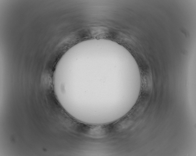 X0000113870705200910081727