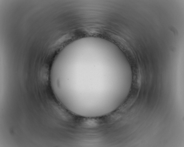 X0000113870710200910081727