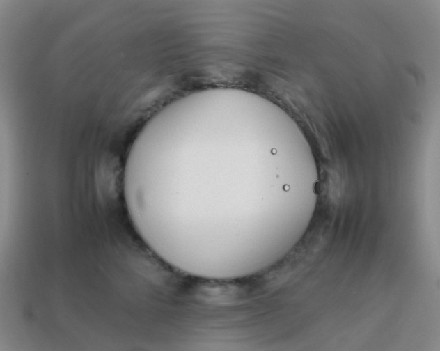 X0000113870712200910081727