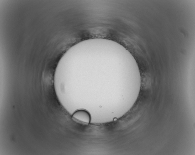 X0000113870713200910081727