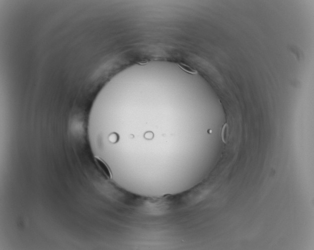 X0000113870720200910081727