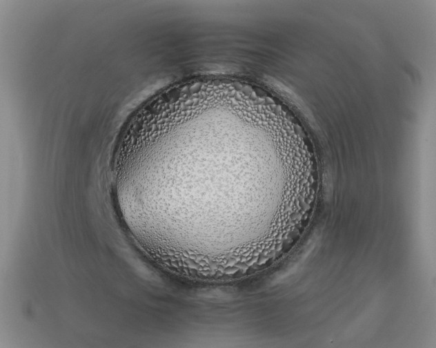 X0000113870721200910081726