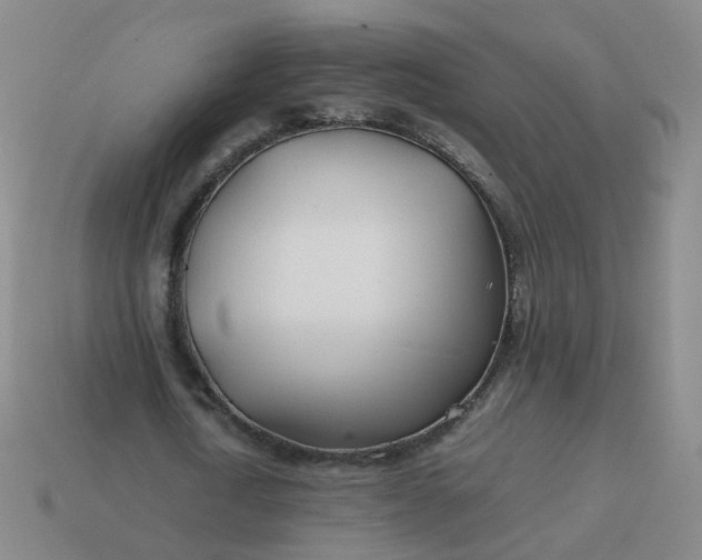 X0000113870722200910081726