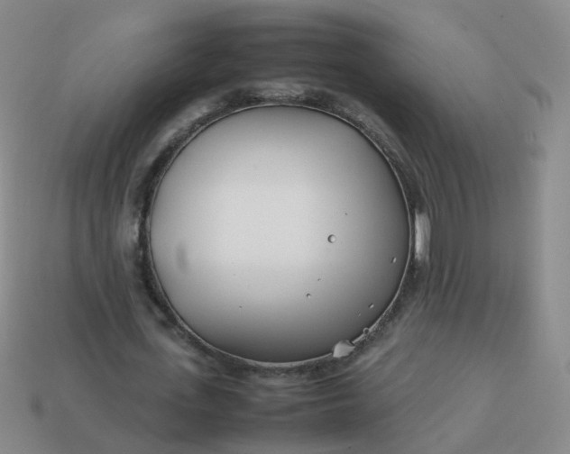 X0000113870723200910081726