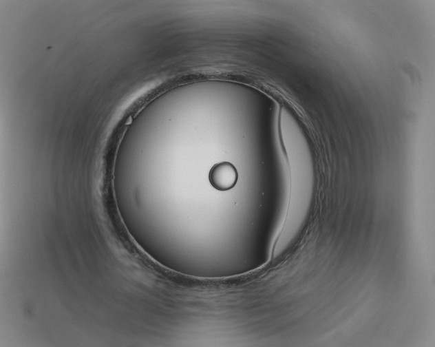 X0000113870724200910081726