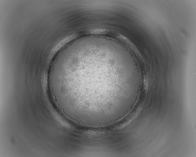 X0000113870725200910081726