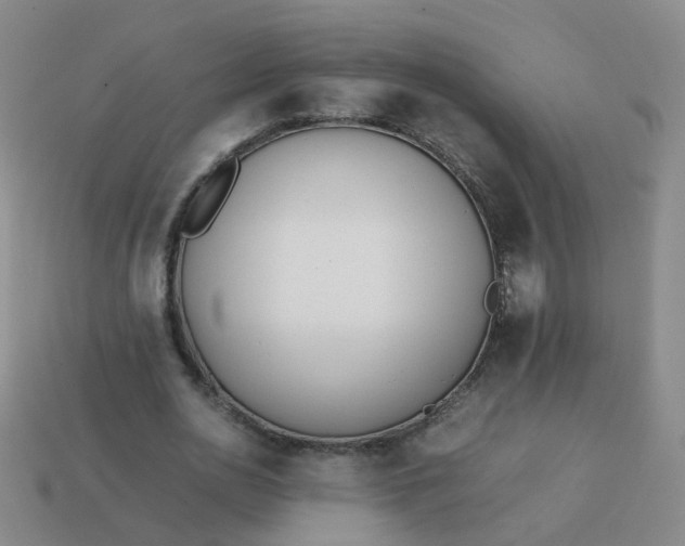 X0000113870726200910081726