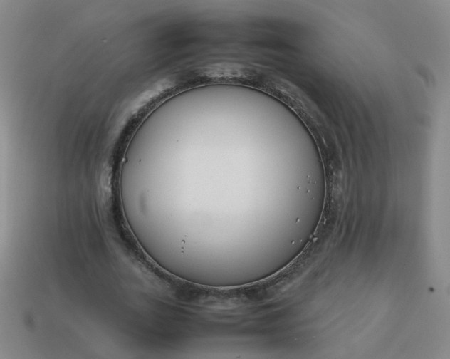 X0000113870727200910081726