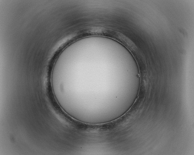 X0000113870728200910081726