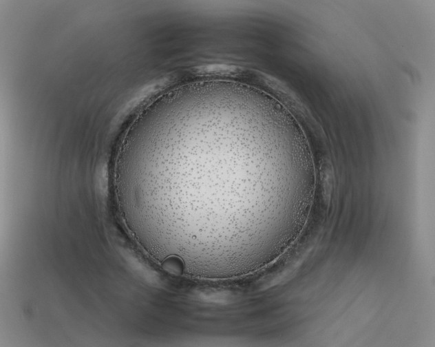 X0000113870729200910081726