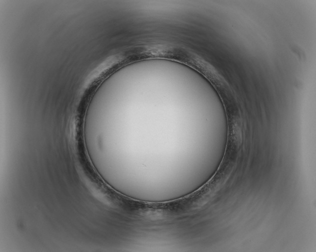 X0000113870730200910081726