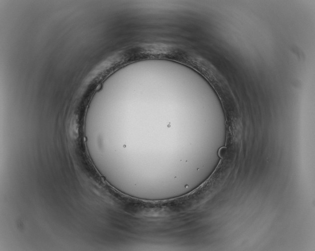 X0000113870731200910081726