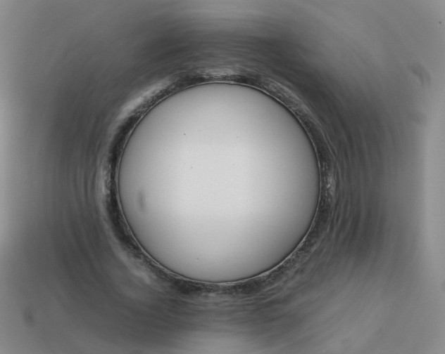 X0000113870732200910081726