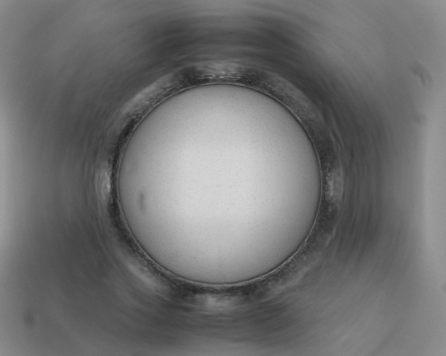 X0000113870733200910081726