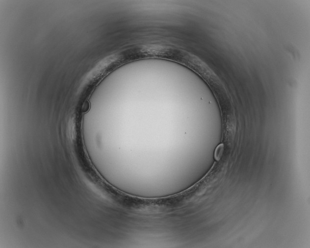 X0000113870734200910081726