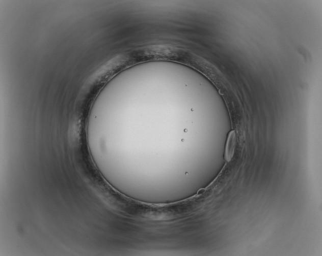 X0000113870735200910081726