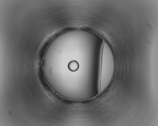 X0000113870736200910081726