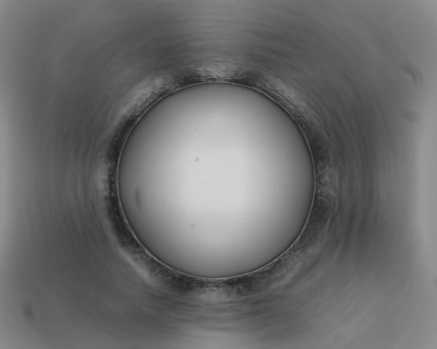 X0000113870738200910081726