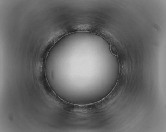 X0000113870739200910081726