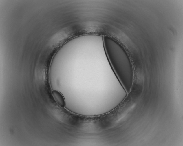 X0000113870740200910081726