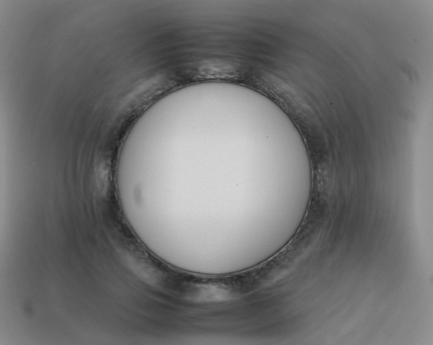 X0000113870741200910081726